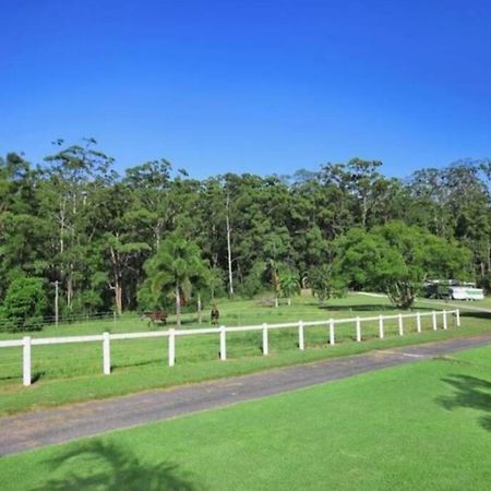 Cabin Country Retreat Paskins Farm Palmwoods Eksteriør billede