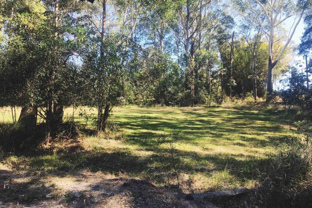 Cabin Country Retreat Paskins Farm Palmwoods Eksteriør billede
