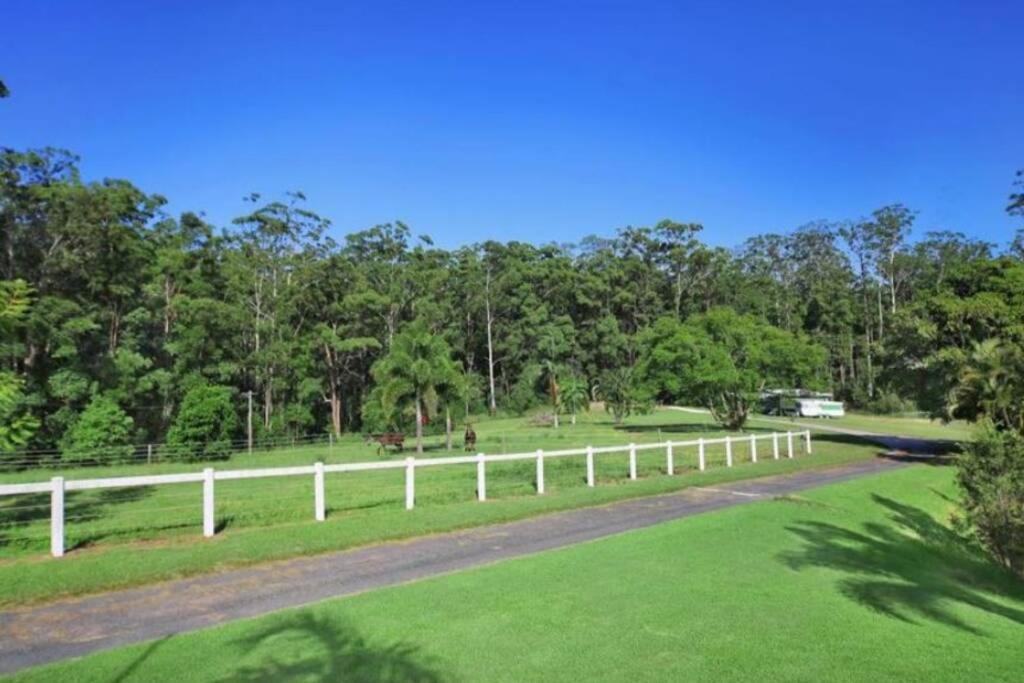 Cabin Country Retreat Paskins Farm Palmwoods Eksteriør billede